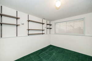 Empty room with dark colored carpet