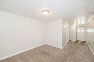 Empty room featuring carpet floors, a textured ceiling, and crown molding