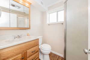 Bathroom with vanity, a shower with shower door, wood finished floors, and ornamental molding