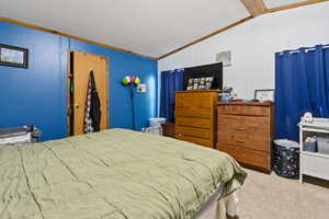 Bedroom with crown molding, carpet flooring, vaulted ceiling, and a textured ceiling