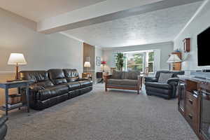 Carpeted living area featuring ornamental molding and a textured ceiling