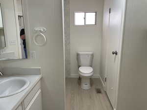 Bathroom featuring wood finished floors and vanity