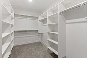Spacious closet featuring carpet