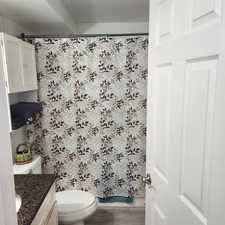 Bathroom featuring vanity, wood finished floors, and curtained shower