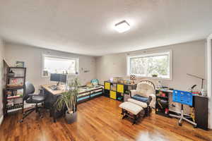 Home office featuring wood finished floors, plenty of natural light, and a textured ceiling