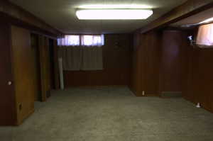 Below grade area with wooden walls and light colored carpet