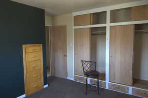 Bedroom with multiple closets and carpet flooring