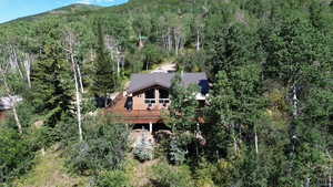 Aerial overview of property's location with a forest