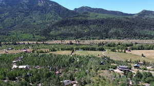 Mountain view featuring a forest