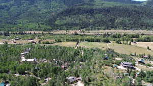 Bird's eye view of a heavily wooded area and mountains