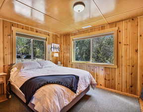 Bedroom featuring multiple windows, carpet flooring, and wooden walls