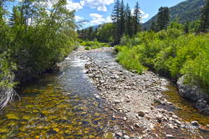 Water view with a heavily wooded area