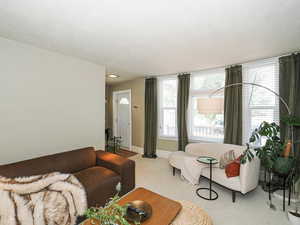 Carpeted living room featuring plenty of natural light