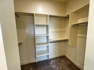 Spacious closet featuring dark colored carpet