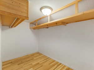 Spacious closet with light wood finished floors