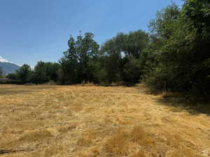View of local wilderness with a mountainous background and rural landscape