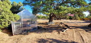 View of greenhouse