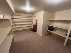 More of lots of basement storage