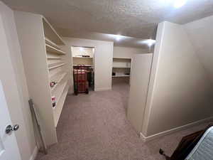 Lots of basement storage