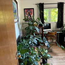 Living area featuring wood-type flooring