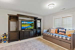 Living area featuring a textured ceiling and carpet