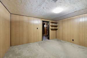 Finished below grade area featuring carpet floors, wooden walls, and a textured ceiling