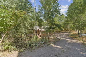 Driveway and parking