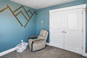 Sitting room featuring carpet floors and a textured ceiling