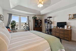 Bedroom featuring a tray ceiling, carpet, and a ceiling fan