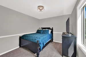 Bedroom with multiple windows and carpet