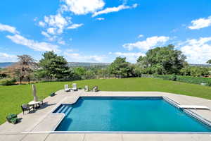 View of swimming pool with a diving board and a patio area