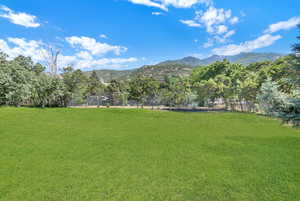 View of yard featuring a mountain view and view of wooded area