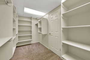 Spacious closet featuring carpet flooring