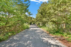 View of asphalt road