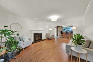 Living room featuring light wood-type flooring, a glass covered fireplace, and ornamental molding