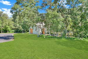 View of green lawn with view of scattered trees, driveway, and an outdoor structure