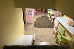 Crawlspace finished with slide entrance