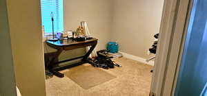 Exercise area featuring carpet flooring and baseboards
