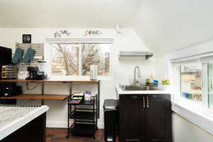 Kitchen with plenty of natural light, dark wood-style floors, and light countertops