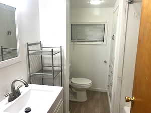 Basement Apartment Bathroom