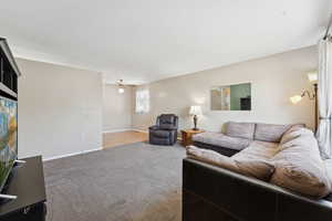 Carpeted living room