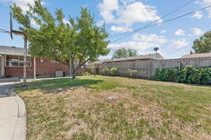 View of fenced backyard & apple tree