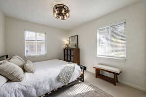 Bedroom featuring carpet flooring and multiple windows