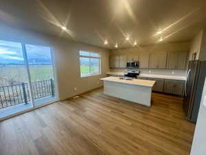 Kitchen featuring stainless steel appliances, a kitchen island with sink, recessed lighting, light wood-style floors, and gray cabinets