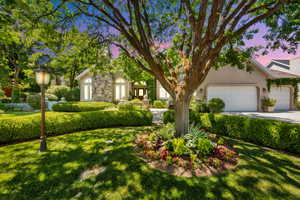 View of property hidden behind natural elements with an attached garage, a front yard, concrete driveway, stone siding, and stucco siding