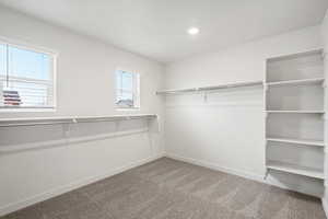 Walk in closet with light carpet