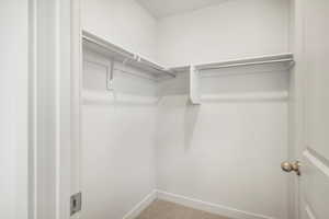 Spacious closet featuring carpet flooring