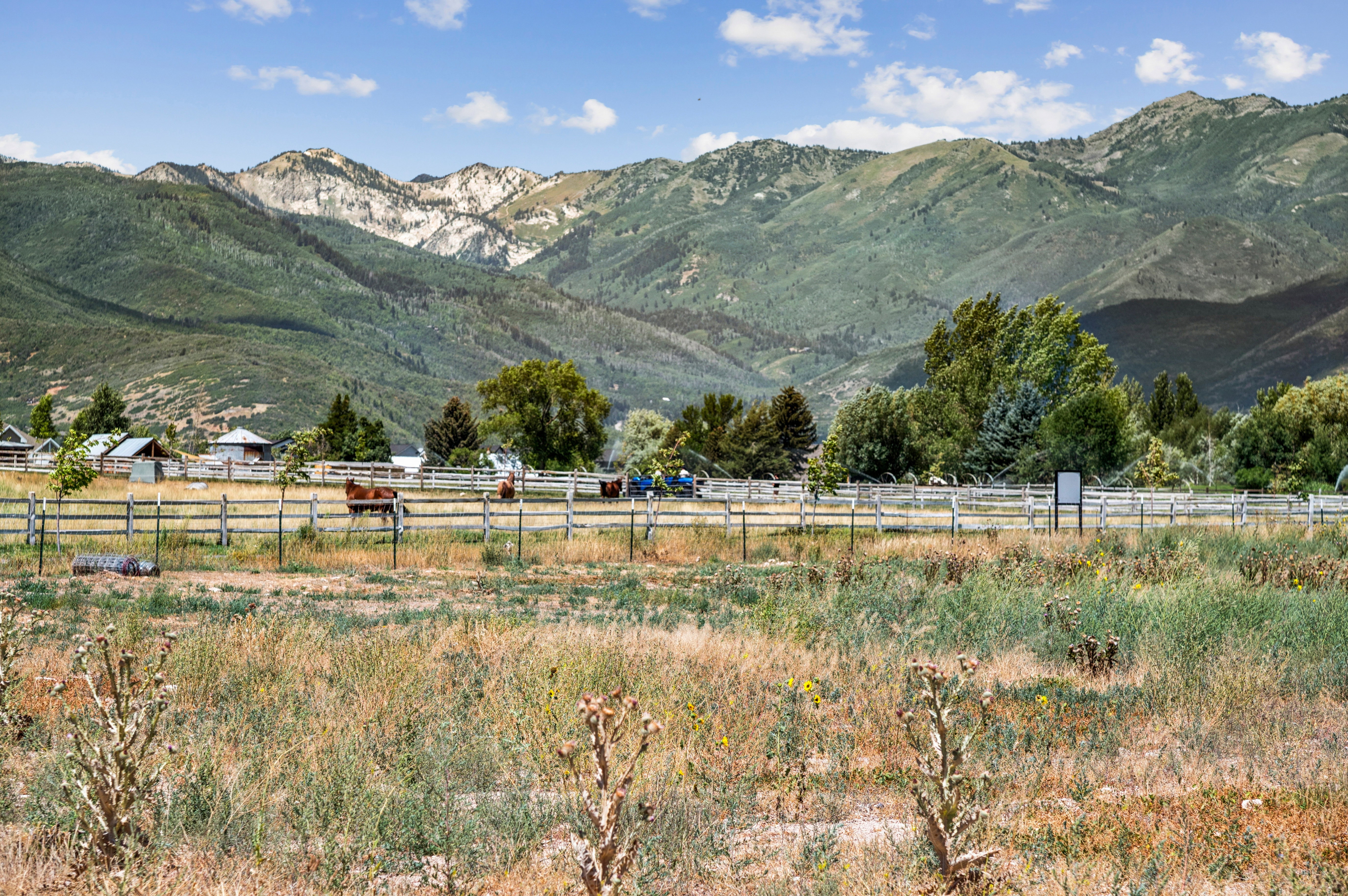 Expansive property featuring a rustic wooden fence and mature trees, set against a backdrop of mountainous terrain