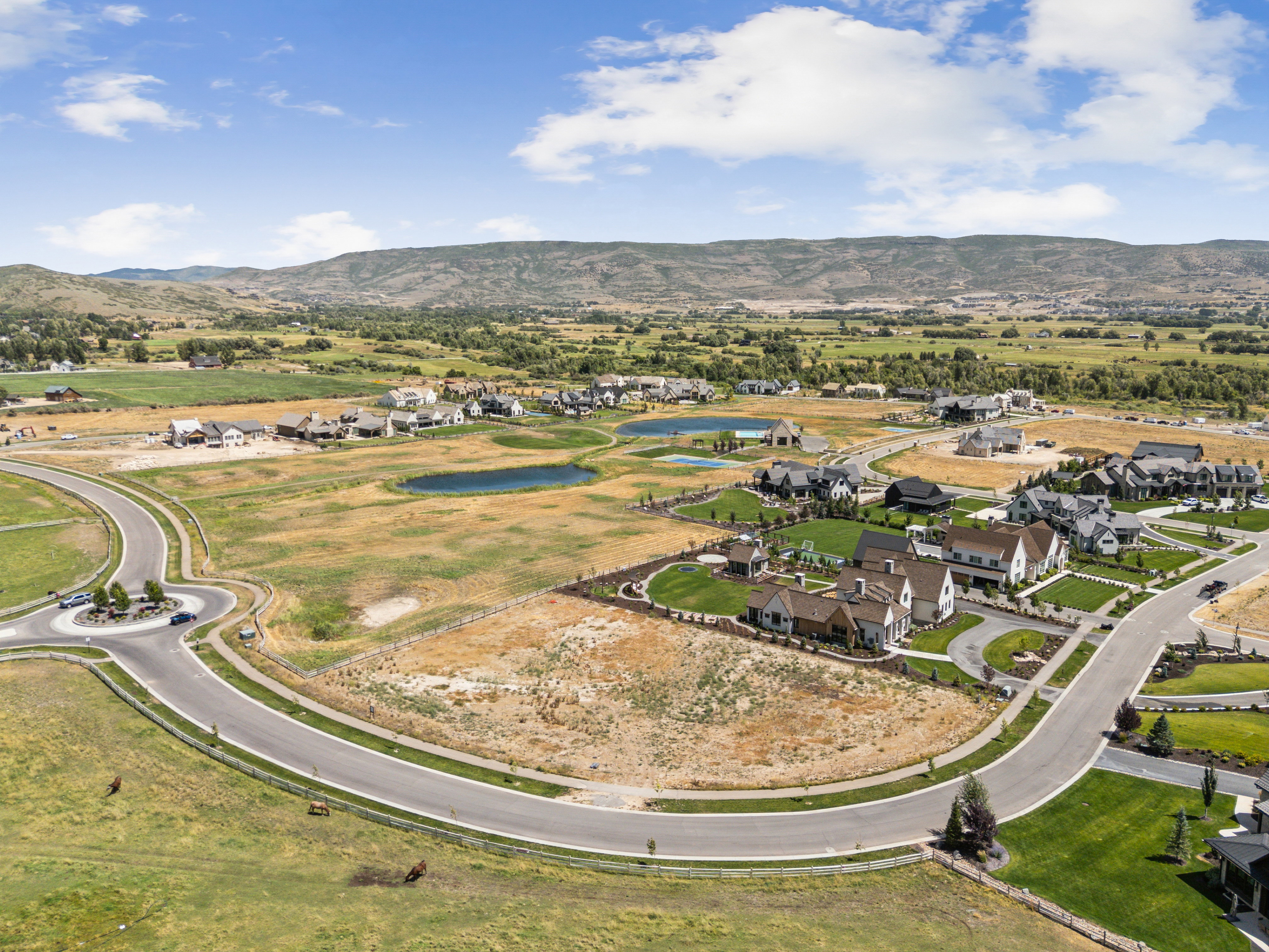 Aerial perspective showcasing a residential development with established homes and undeveloped lots