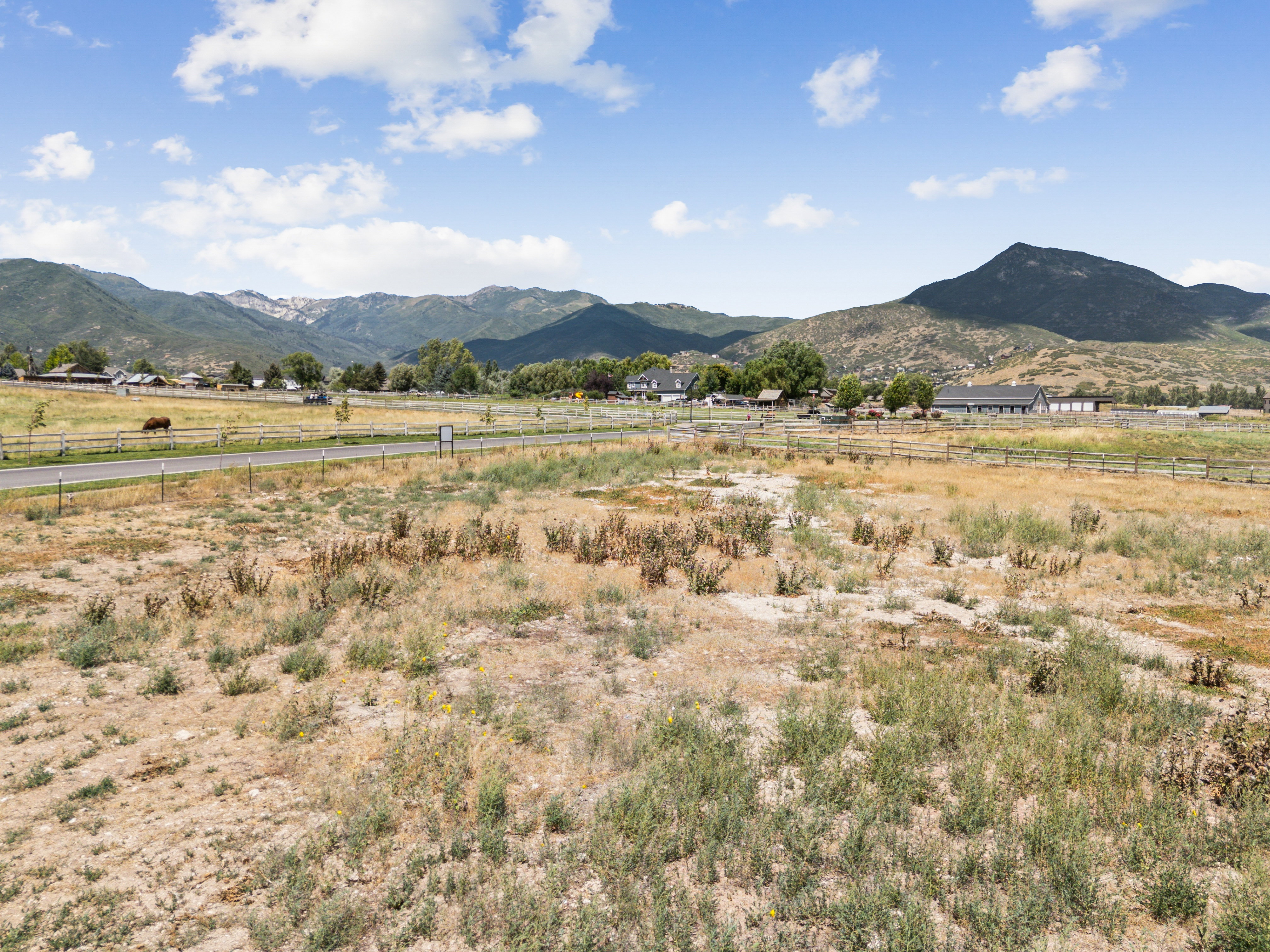 Expansive undeveloped land featuring a mix of dry grass and sparse green vegetation